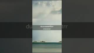 Fakta Hewan Terkuat di Bumi | Kecoa si Anti Radiasi Nuklir #shorts #animals #insects #kecoa #viral