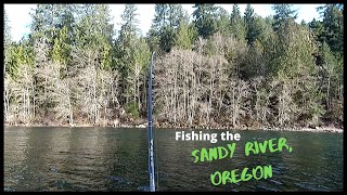 Fishing the Sandy River | Lost 2 Big Ones | Fishing for Spring Chinook and Steelhead
