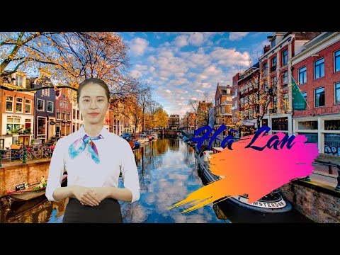 Video: Hoa hồng Hà Lan - loài hoa dành cho mọi người