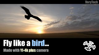 plane flying like a bird 5