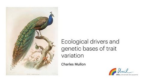 Ecological drivers and genetic bases of trait variation
