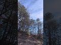 Trail Run | Running Hard Uphill | Easy Pace | Virtual Running Videos For Treadmill