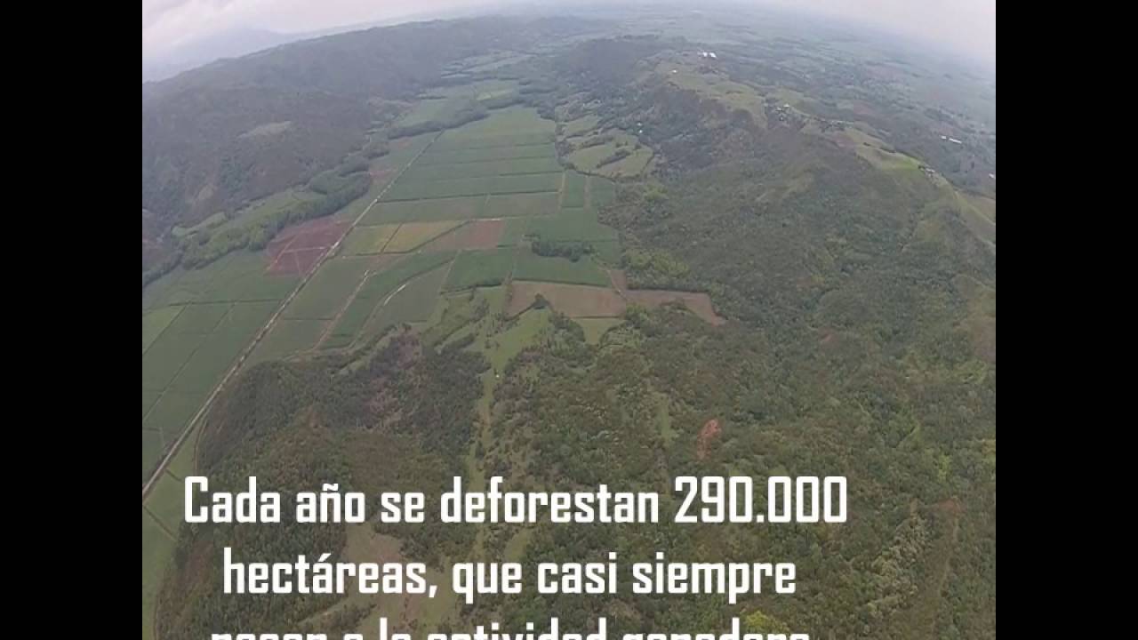 Crisis del campo Colombiano.