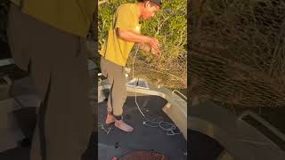 Crab Catch And Cook Part 3