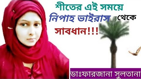 নিপা ভাইরাস কী ? রোগের লক্ষণ কেমন? জেনে নিন/নিপা ভাইরাস, লক্ষণ, প্রতিরোধ/নিপা ভাইরাস