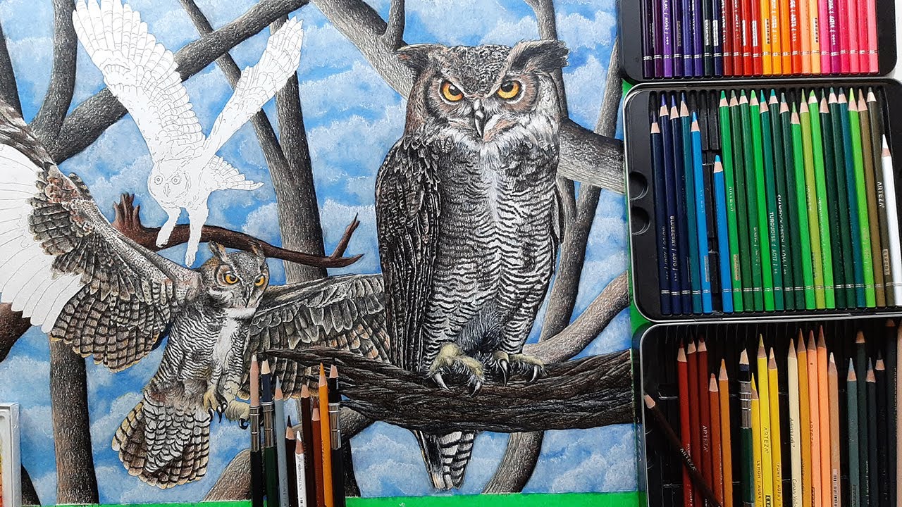 How To Draw An Owl, drawing an owl in pencil crayon 