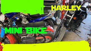 Predator 212 Coleman Bt 200 X Races Harley Roadster 1200