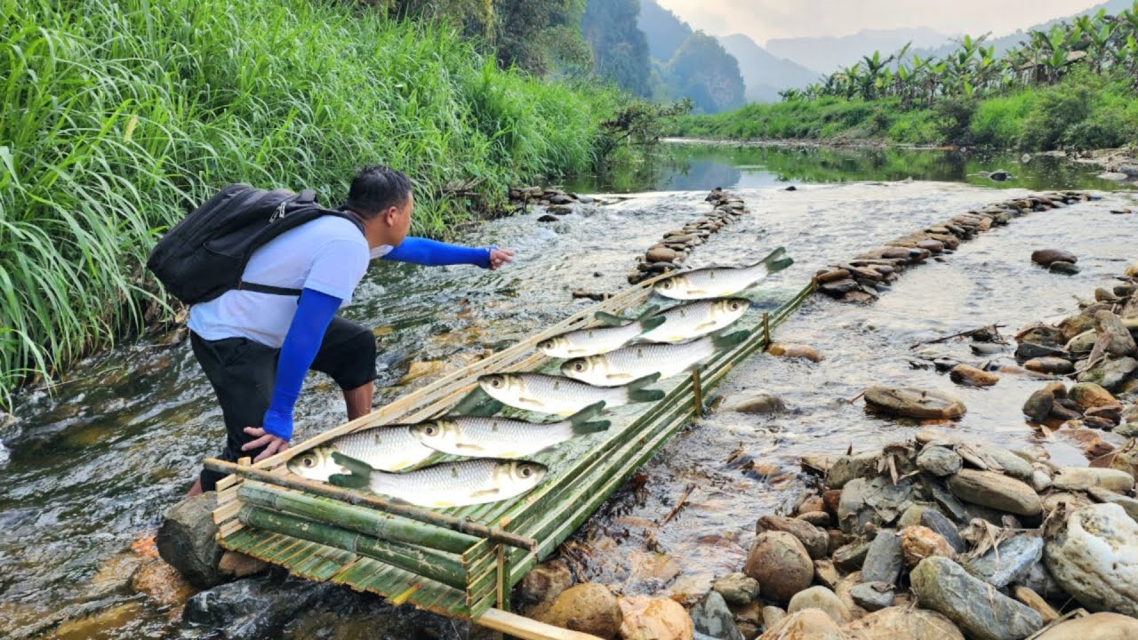 Full video details of 26 days of making fish traps in the stream. And ...