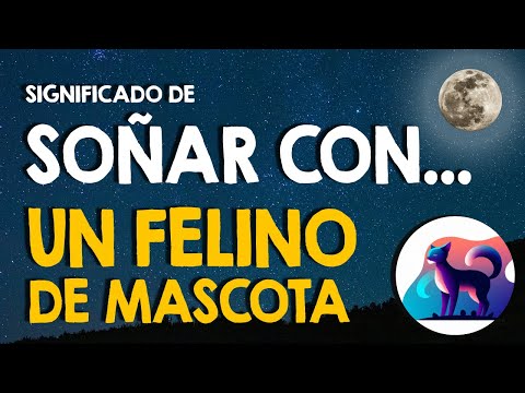 ¿Qué significa soñar con un felino? 🐈 Mascotas o animales salvajes 🐈