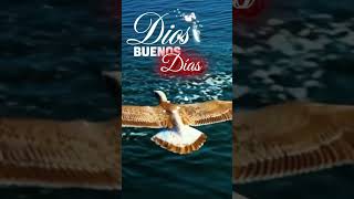 Buenos días mi Señor 🙏 Gracias por tu favor y tus bendiciones, amén #Bendiciones #favor #acexcristo