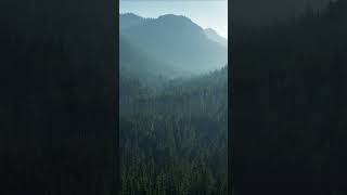 The Passage That Changed Washington | History of Snoqualmie Pass