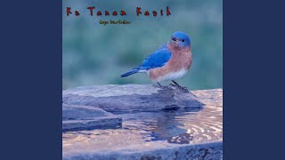 Download Lagu Bukan Pilihanmu MP3