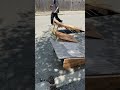 The jumps