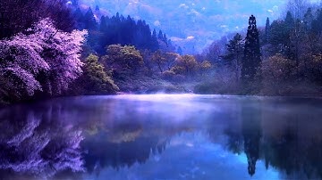 سورة القارعة القارئ خالد الجليل