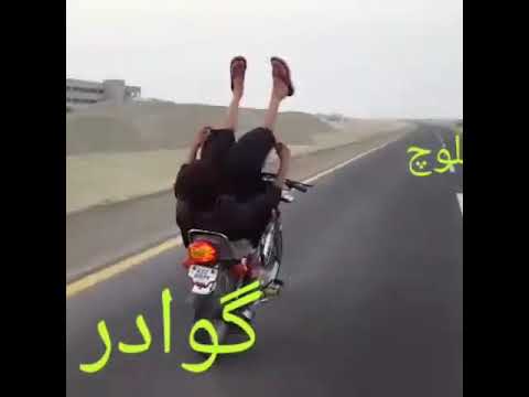 گوادری بلوچ 