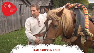 «Как запрячь коня». Документальная зарисовка