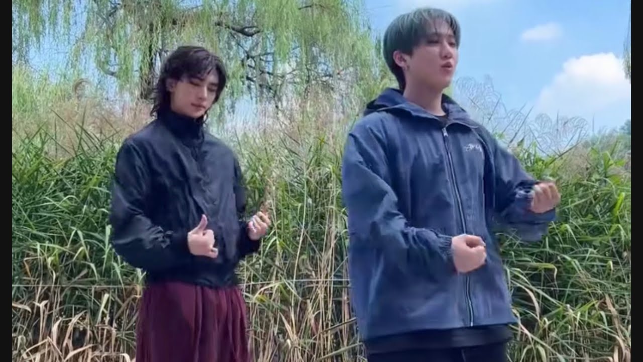 Hyunjin dance challenge compilation!