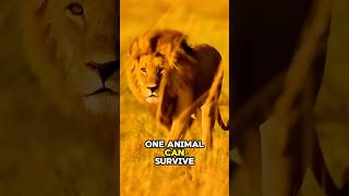 Which Animal Survives Being Boiled Alive?