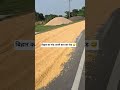 Road Accident High Chance. #road #accident #vechiles