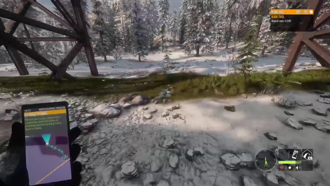 Ps5 Call of the wild- Runner Gunner Mission Hunter