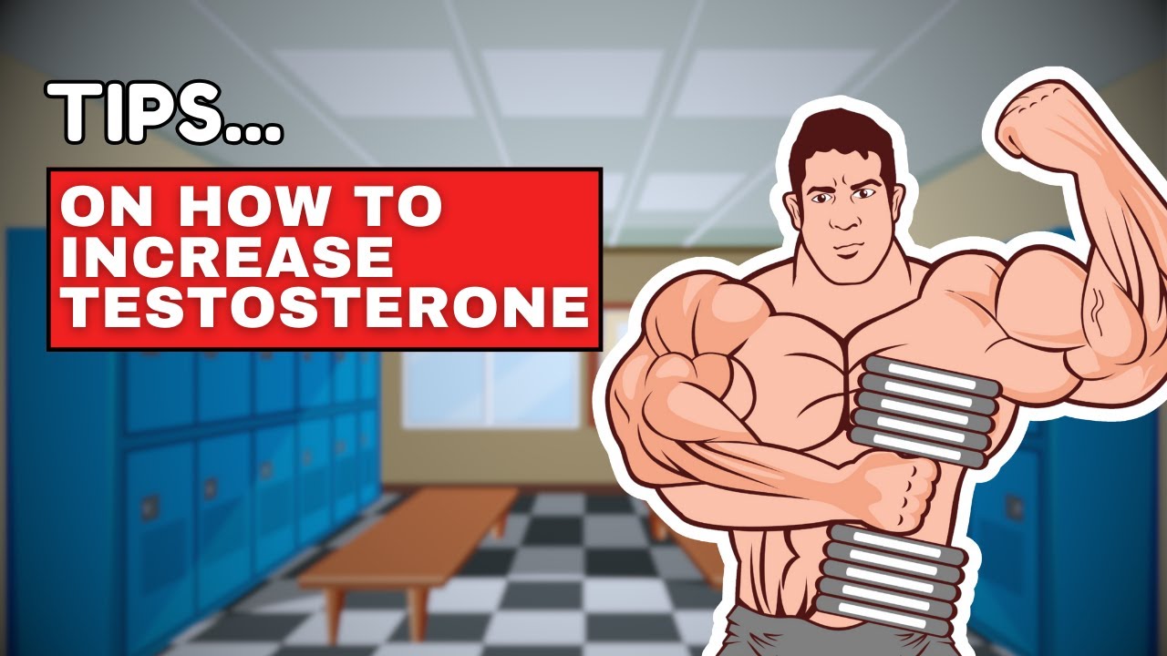 Effective Ways On How To Boost Testosterone Level - YouTube