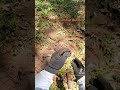 Dealing with Iron finding Relics !