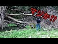 【バス釣り】何匹いるの?巨大な倒木の中に奴らが潜んでいただと!