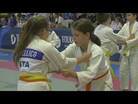 Video News Basilicata - Alleniamoci con i Campioni: lo sport come presidio educativo e di vita