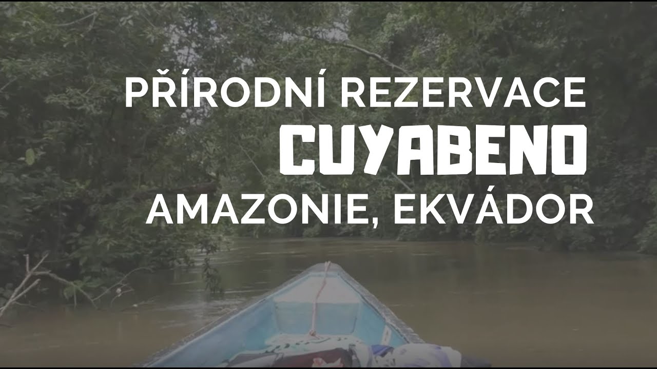 Přírodní rezervace CUYABENO, Amazonie, Ekvádor, 2019