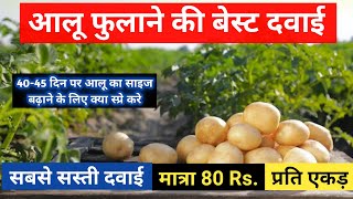 Aloo Ka Aakar Badhane Ki Dawa | आलू की संख्या बढ़ाने की दवा | आलू फुलाने की दवा |