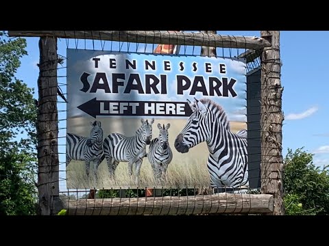 who owns tn safari park