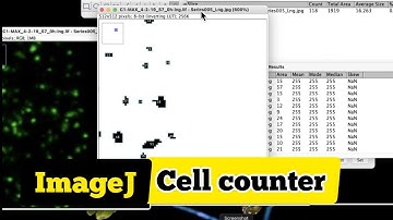 How to count objects in image using ImagJ| counting cells in imageJ| imageJ cell counter