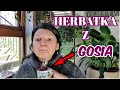 Herbatka z gosi