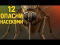 ТОП ОПАСНИ НАСЕКОМИ:МОГАТ ДА ЖИВЕЯТ В ТЯЛОТО