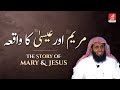 Soothing Recitation of Surah Maryam | Sheikh Mansour al Salimi