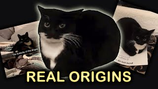 The Real ORIGINS of Maxwell The Cat