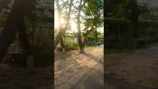 #Ricky#saab