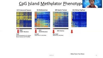STAT115 Chapter 24.4 Cancer Epigenetics
