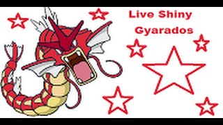 (LIVE) Unwanted Shiny Gyarados Encounter(Pearl) [SSC#1]