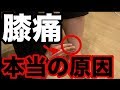 【驚愕】膝痛の本当の原因
