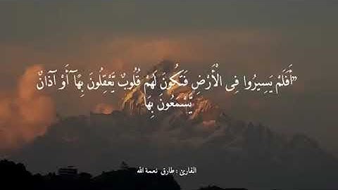 تلاوة خاشعة بصوت القارئ طارق محمد/حالات واتس اب