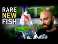 Buying RARE NEW FISH for Aquarium | MD Fish Tanks