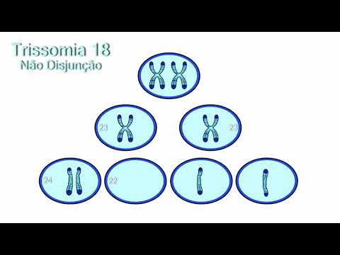 Vídeo: Como a Trissomia 18 ocorre na meiose?