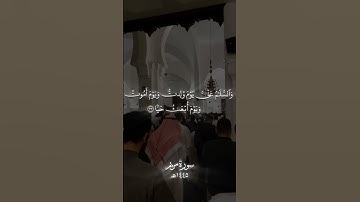 استخدموا الصوت 🖤🙂/ #تلاوة_خاشعة #اجر #quran #karim_quran_1