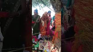 vart vat savitri ka#वट व्रत सावित्री मां 🙏🌺🙏#shortvideo #youtuneshortvideo