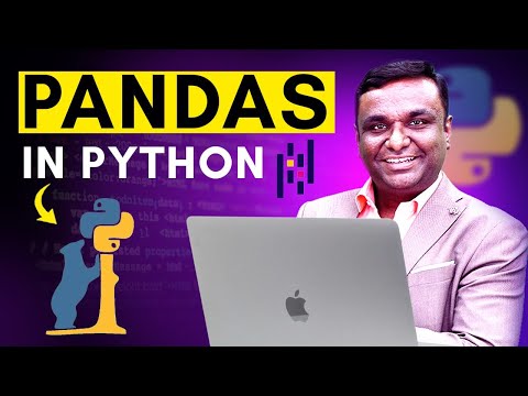 Pandas in Python | Python Hub