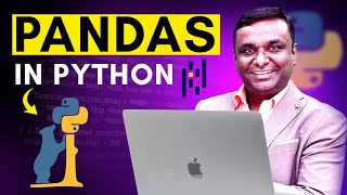 Pandas In Python Python Hub