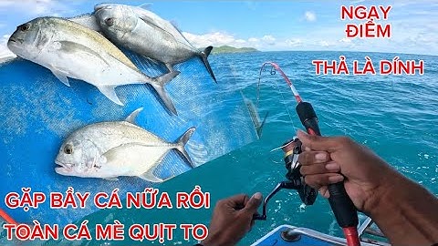 Đi Câu Cano Câu Jigging Tại Côn Đảo ! 1 Nơi Cá Cực Kỳ Nhiều ! Phần 1