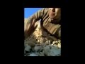ياوجه الله ياوجه الله