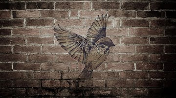 create graffiti effect  -  Photoshop tutorials